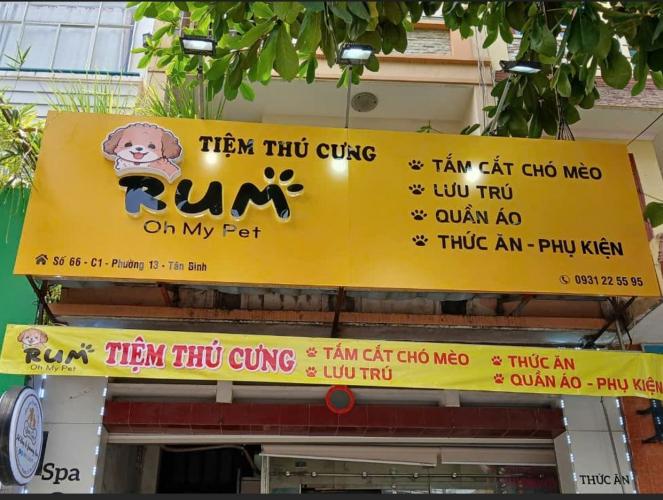 bảng hiệu thú cưng nền vàng, chữ mica giá bình dân